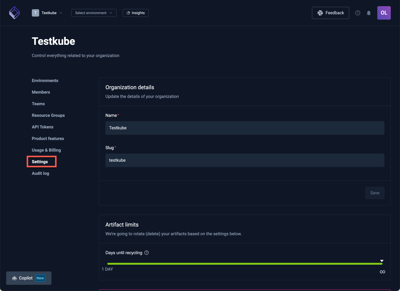 Organization Setting